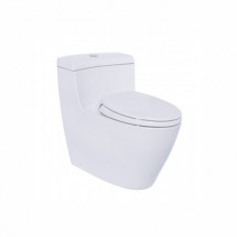 Bàn cầu 1 khối TOTO MS636DT2